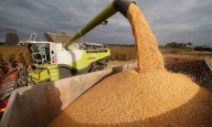 Retenciones: cuánto espera recaudar el Gobierno según el presupuesto 2026