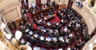 La oposición pide que la AGN investigue las causas de presuntas coimas en ANDIS y fentanilo contaminado