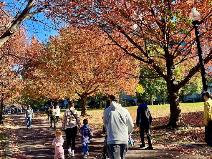 ¿Qué hacer en Boston esta semana del 22 al 28 de septiembre?