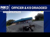 Florida officer & K9 dragged by suspect during traffic stop