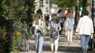 International student visas for Canada plummet