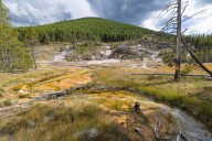 SNAPPED: Summer in Yellowstone begins the fade to fall