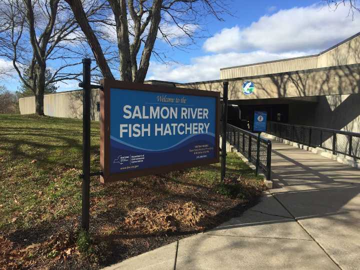 Salmon River Fish Hatchery to hold open house on Saturday