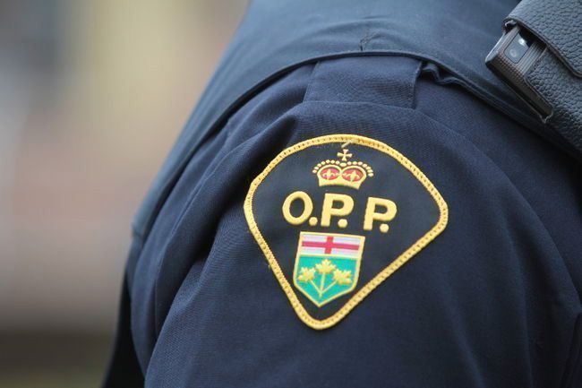Brant OPP bust intruder