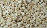 Abastece Sader de maíz blanco a tortillerías