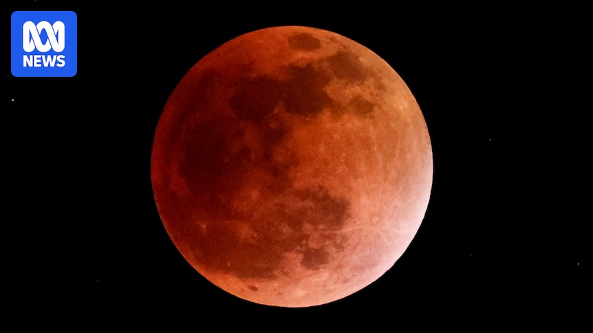 Blood moon delights stargazers as total lunar eclipse seen from Australia