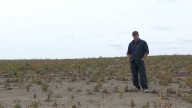 'Honestly, it's just sad': ND farmer faces major crop losses after storms