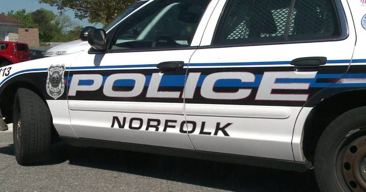 Pedestrian dies after crash on E. Virginia Beach Boulevard: NPD