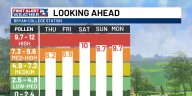 Brace yourself: Ragweed season is nearing full force