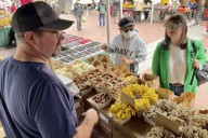 Canadian fresh mushrooms the latest target of U.S. trade ire
