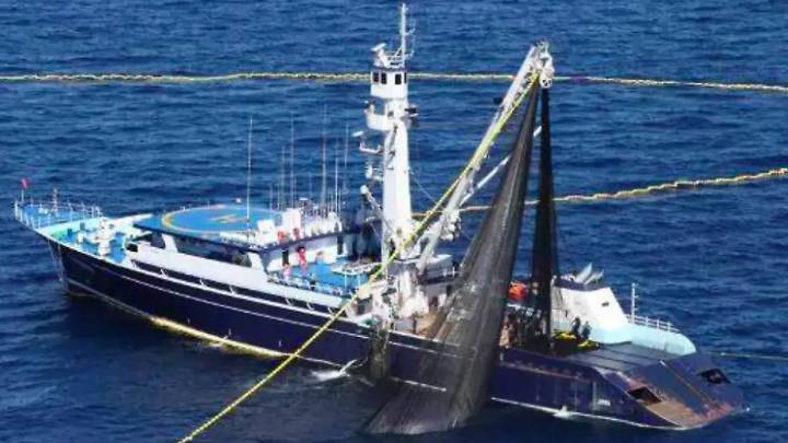 Se registra fuga de amoniaco en atunero; la empresa no reporta el siniestro