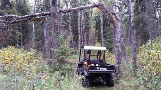 Thieves hit J.J. Collett Natural Area, making off with valuable tools, bobcat