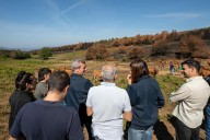 La Xunta agilizará las ayudas a los afectados por los incendios, según Rueda