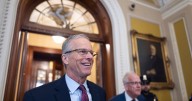 Senate confirms 48 Trump nominees in single vote after 'going nuclear'