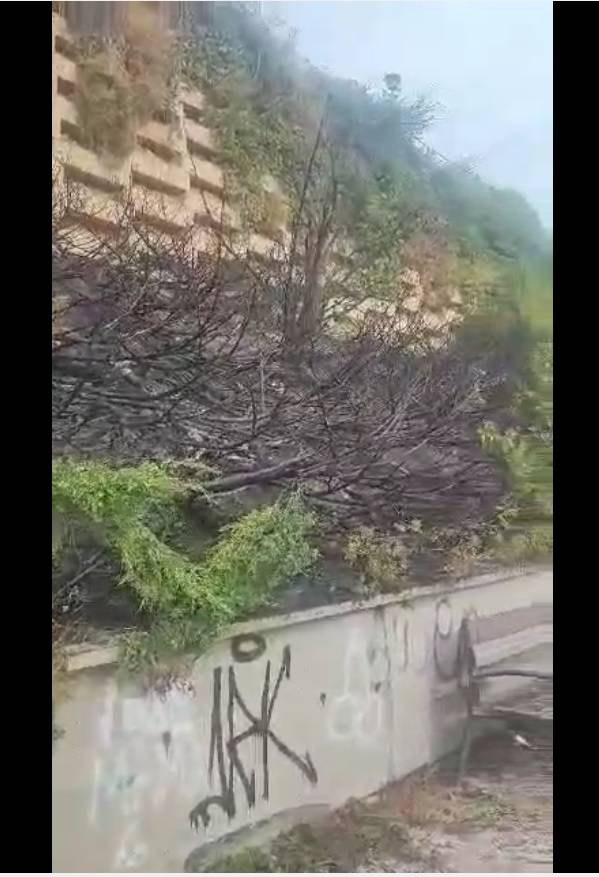 El estado de ladera de la Ronda quemada ayer (Video)