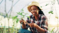 Why Lavender Is The Perfect Addition To Your Vegetable Garden