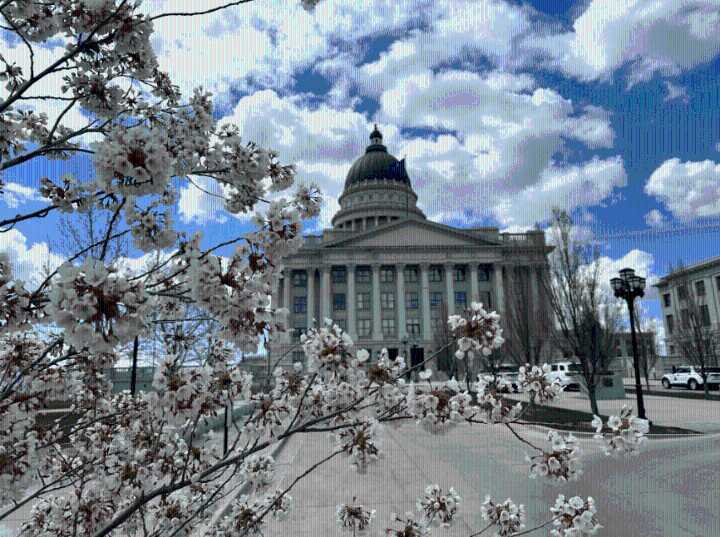 Judge in redistricting case denies Legislature's request to pause redrawing congressional maps