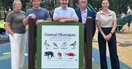 Park filled with laughter