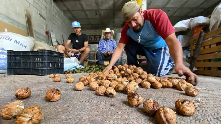 Productores de San Nicolás de los Ranchos celebran buenas cosechas tras pérdidas por el clima