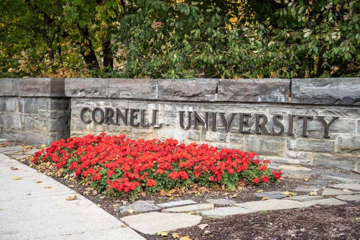 College Students Not Charged After Skinning Bear in Residence Hall