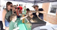 GALLERY: Margate Fall Funfest by the Bay
