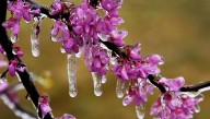 Oklahoma could have a mild winter this year. Here's why