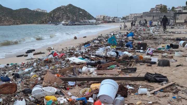 Residuos por lluvias amenazan a las tortugas