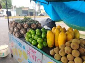 Padres de Maturín prefieren frutas paras las meriendas escolares por su aporte nutritivo