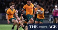 Wallabies player ratings: Billy Pollard and Len Ikitau shine despite Eden Park loss to All Blacks