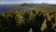 Here's how Maine's forest carbon credit market work