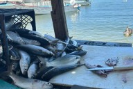 El pescador que resiste: 50 años de tradición ribereña en La Paz