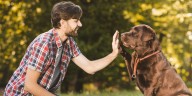 Los siete rasgos que la psicología identifica en quienes conversan con sus mascotas como si fueran personas y las razones detrás de este hábito