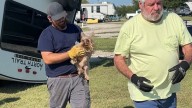 Dog rescued from overturned RV in Denton County where owner died during Sunday's storm