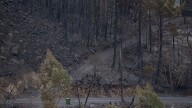 Extinguido por fin en la Ribeira Sacra el último gran incendio del verano en Galicia