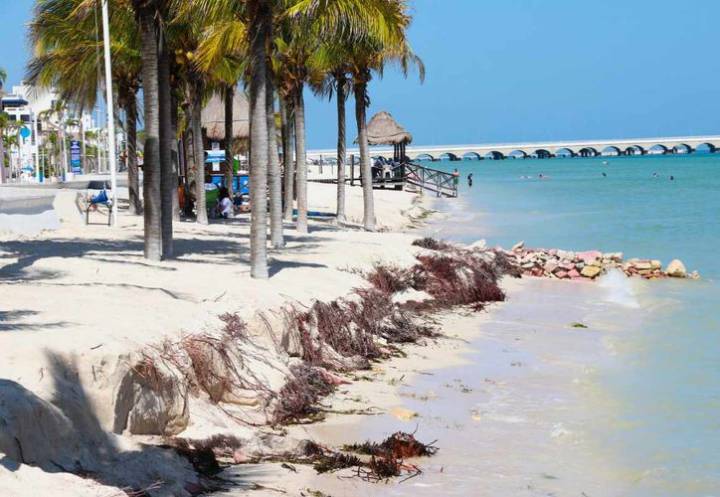 Avance del mar en Progreso obliga a diseñar estrategia urgente