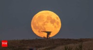 Harvest moon 2025: When, where and how to witness the rare autumn full moon lighting up skies worldwide this October; check visibility in India