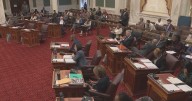 Philadelphia City Council passes 2 resolutions to condemn acts by Trump administration