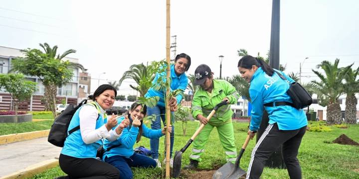 Más de medio millón de árboles fueron plantados en lima metropolitana gracias al Programa Lima Verde