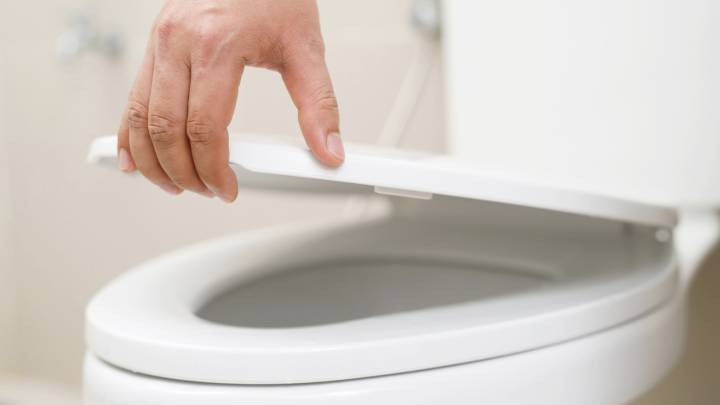 Here's Exactly How Often You Should Be Cleaning (And Replacing) Your Toilet Seat