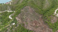 Dadsa activa Proceso Sancionatorio por tala ilegal en cerros de Inca Inca