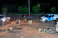 Secuestraron casi 100 kilos de droga en operativo en el río Paraná