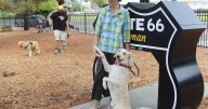 Route 66 dog park opens at Kingman visitor's center