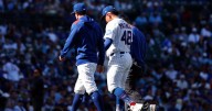 Nationals 6, Cubs 3: The Daniel Palencia disaster