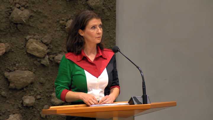 Dutch MP sent out of parliament for wearing colours of Palestine flag