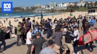 Bondi Beach pro-Palestinian and pro-Israel protesters clash condemned as police investigate 'scuffle'