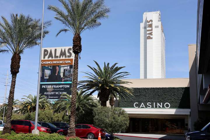 Palms names new general manager