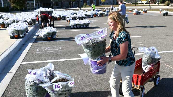 Mums fund Lakeland Elementary field trips