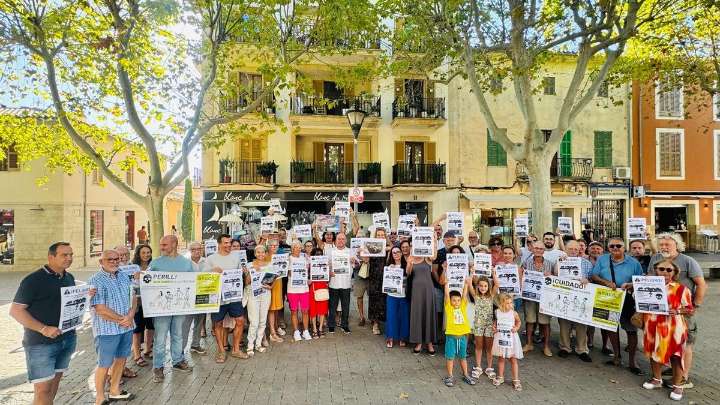 La nueva asociación contra el cable de Alcúdia exige una revisión del trazado pactado