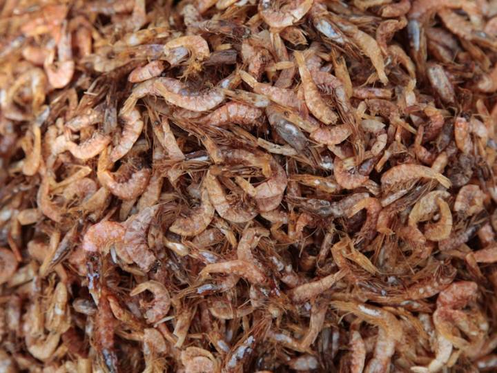 Americans are crazy for shrimp. Much of it came from India