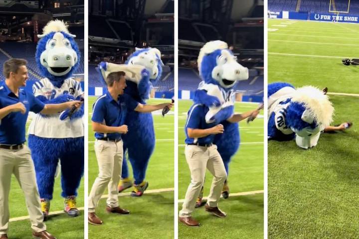 ‘Unhinged’ Indianapolis Colts Mascot Tackles Meteorologist on Live TV [VIDEO]